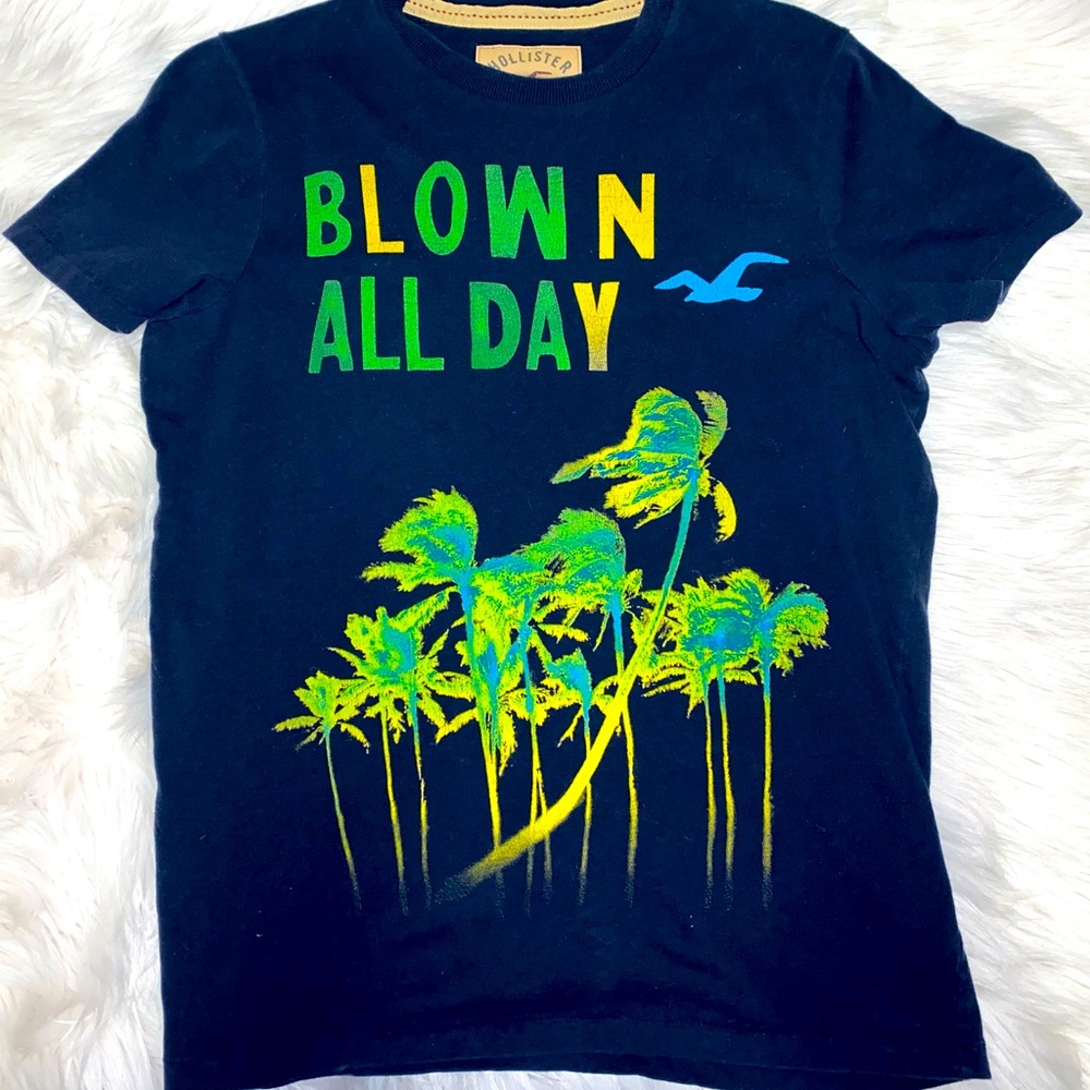 Y2K Hollister tee shirt